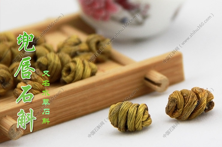 兜唇石斛 水草石斛 枫斗